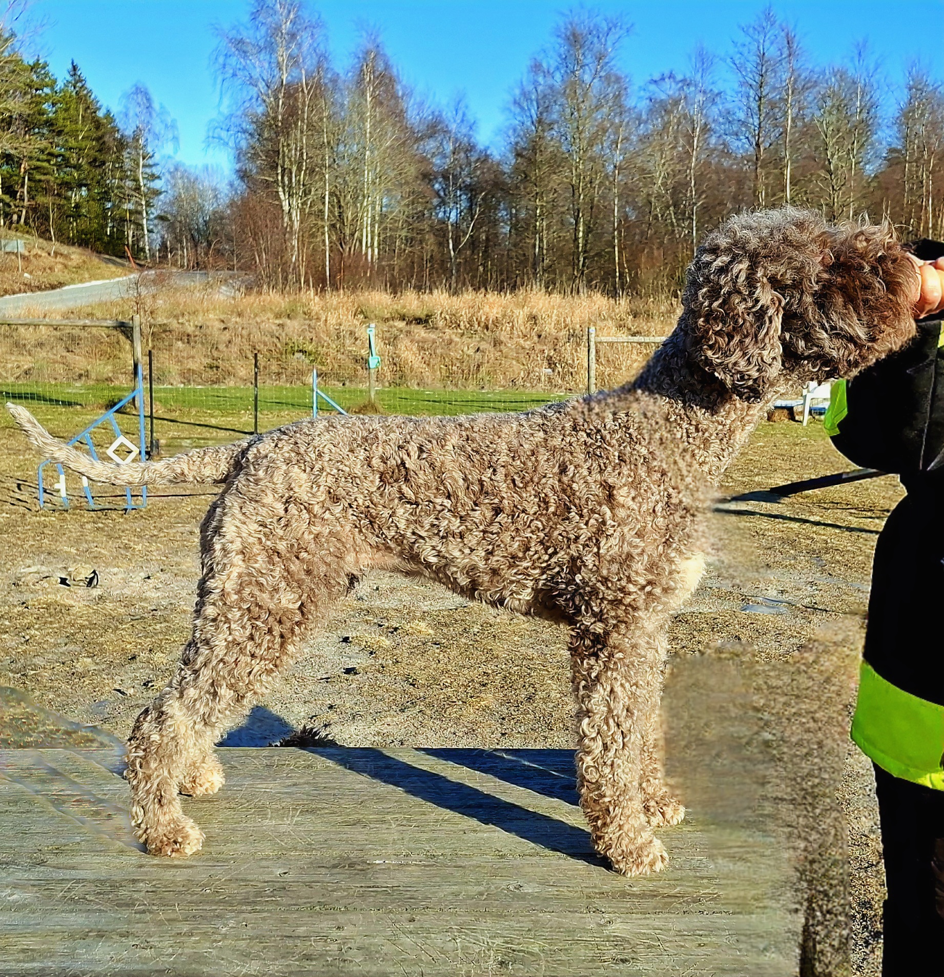 2 years old, Feb 4 2026